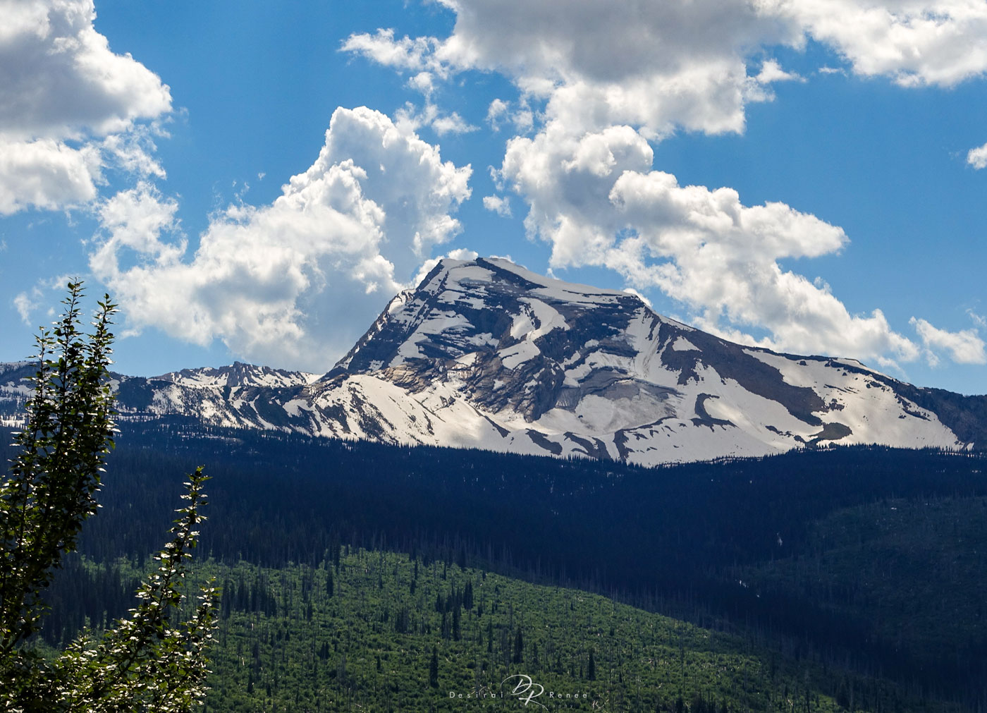Glacier National Park, Montana, Heavens Peak, mountains, sky, forest, trees, snow, nature, landscape